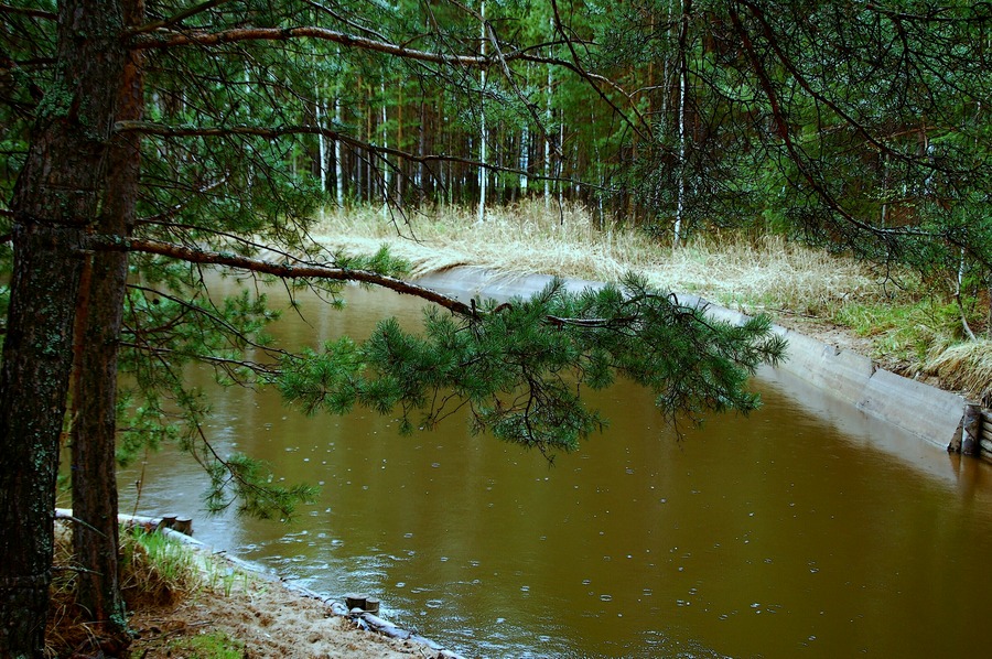 Весна .. опять моросит ..