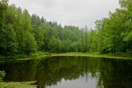 Зелёное зеркало