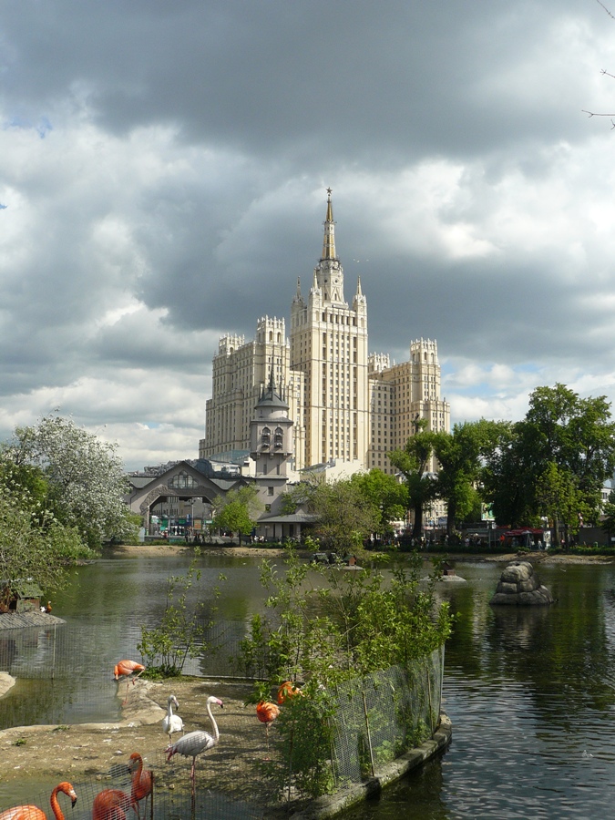 В Московском зоопарке