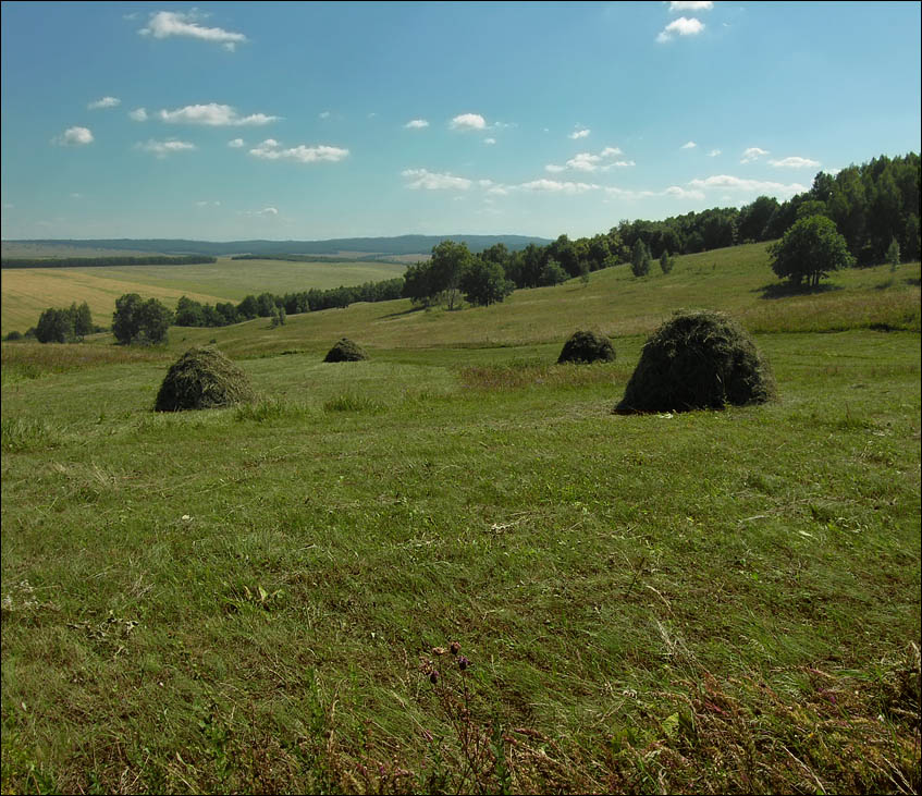 В полдень .