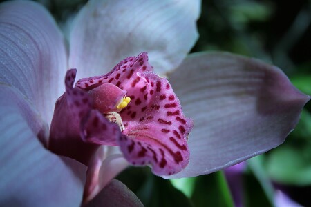 Лучик света......