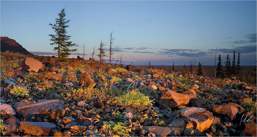 Красные камни в красном свете