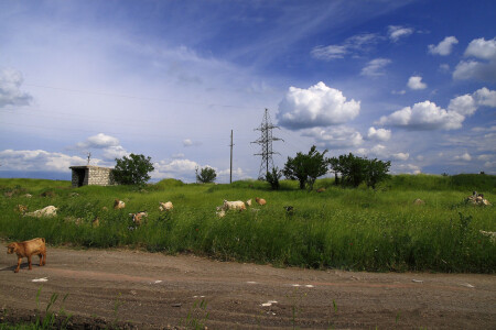 &amp;quot;Козо-энергетический&amp;quot; пей-за-ж