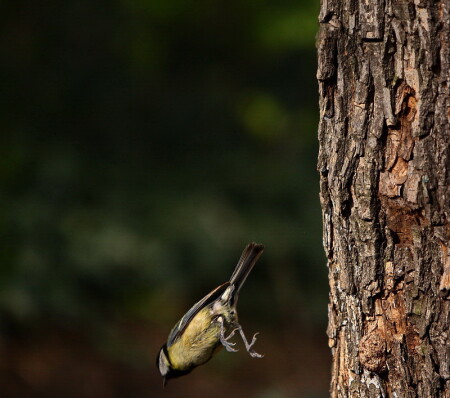 &amp;quot; Крутое пике &amp;quot;