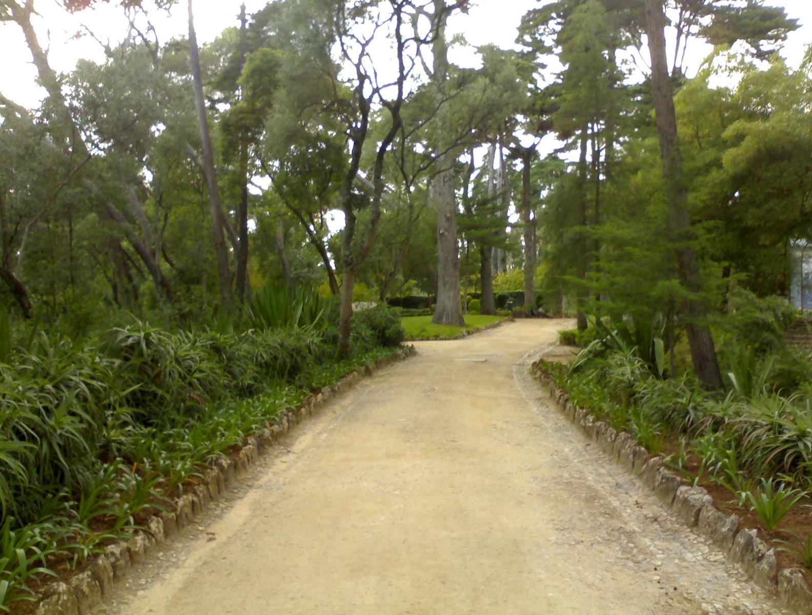 cascais