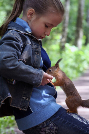 встреча друзей