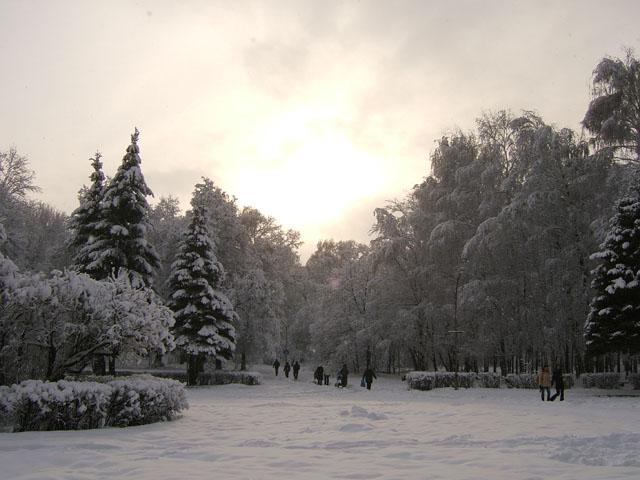 Парк ЦПКиО