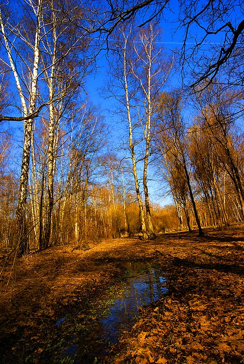 Апрель