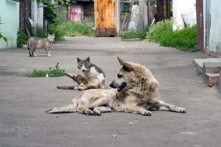во дворе