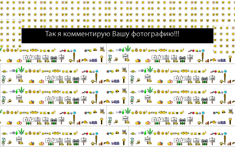 Современные фотографы-комментаторы 