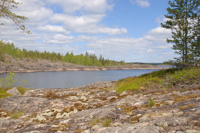 Ladoga