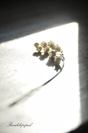 доброе утро