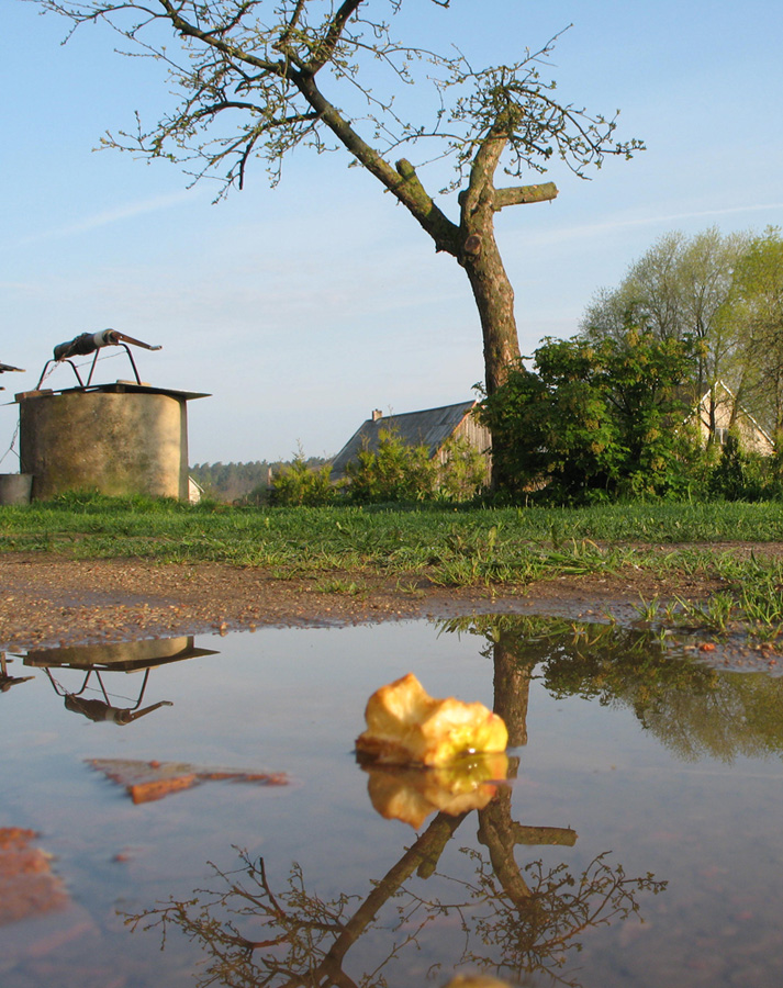 Село утром