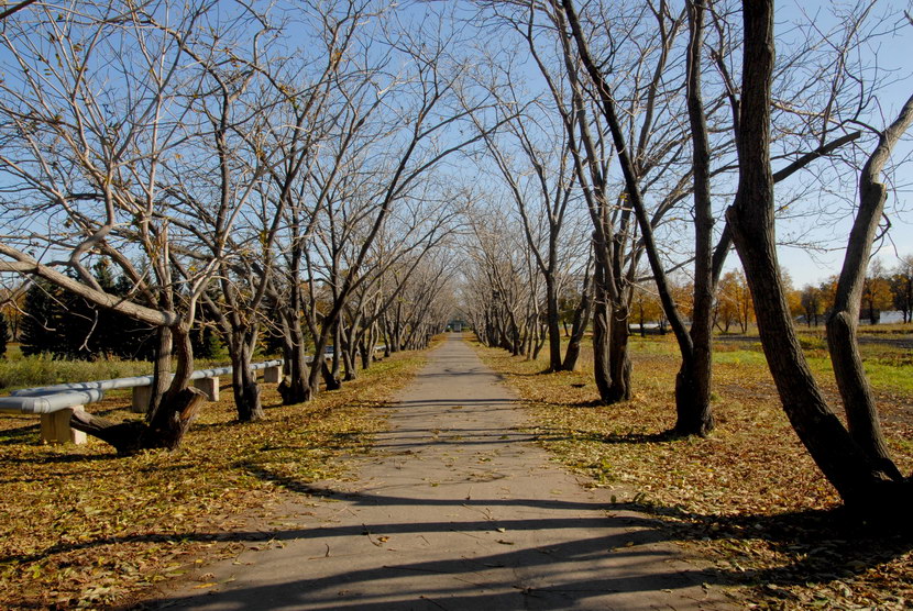 Дорога в Осень...