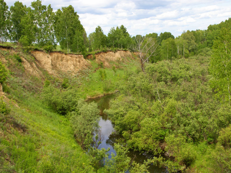 Речка Койниха