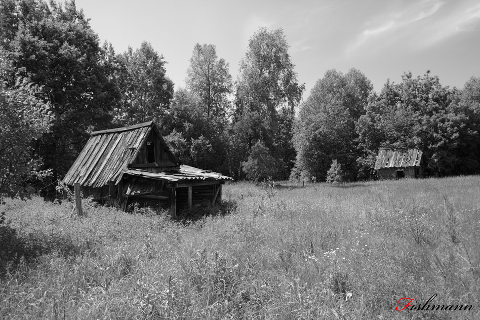 Сарайчики