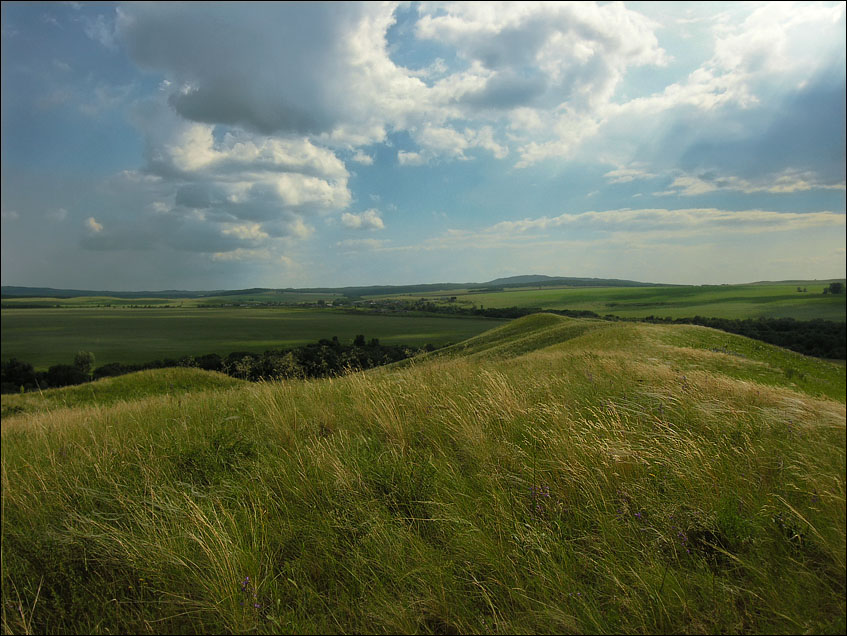 Летняя зарисовка