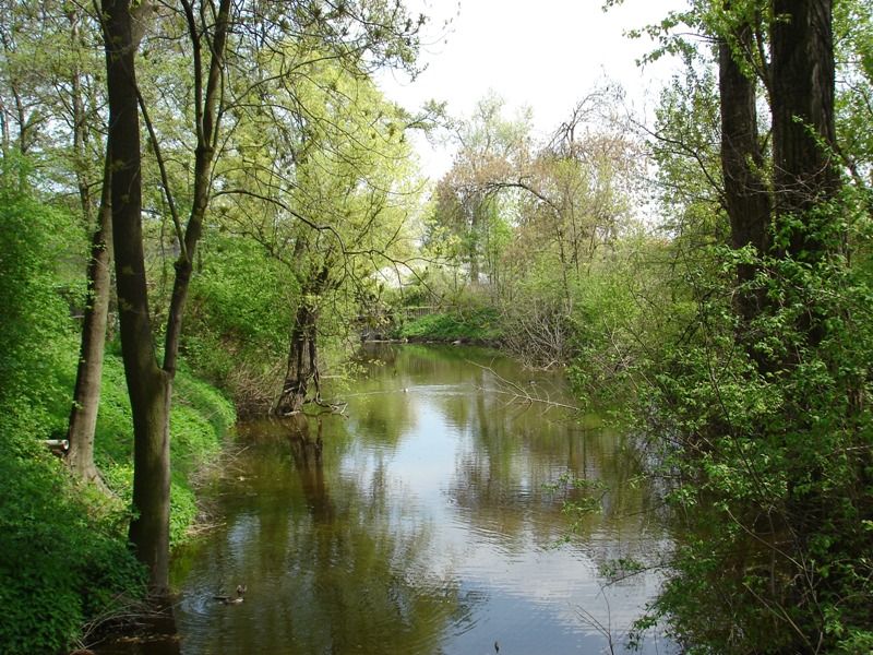 Весенний день в Пражском зоопарке