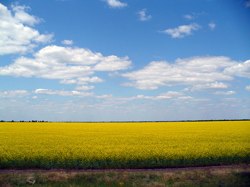 Поле