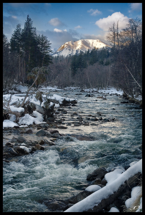 Зеленая вода