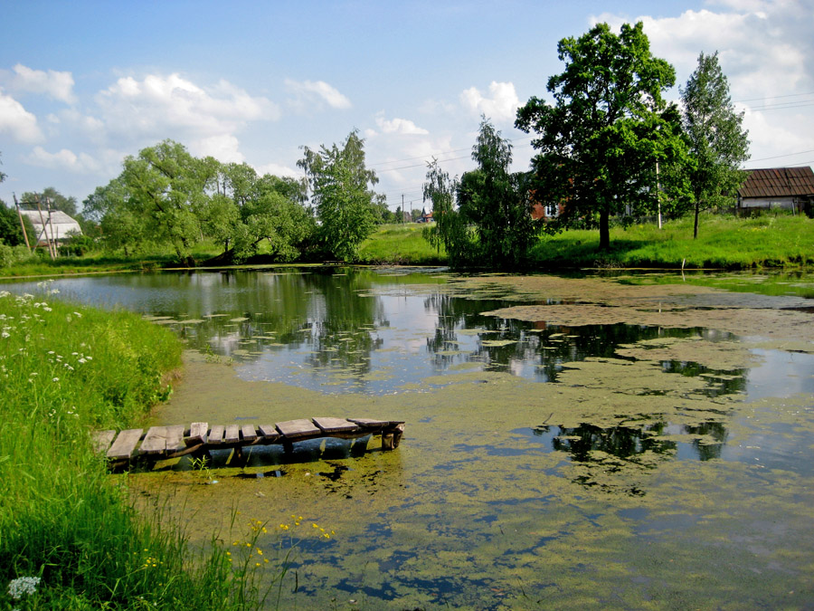 Cтарый пруд.