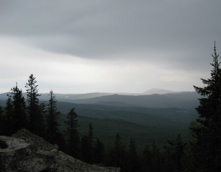 В заповеднике