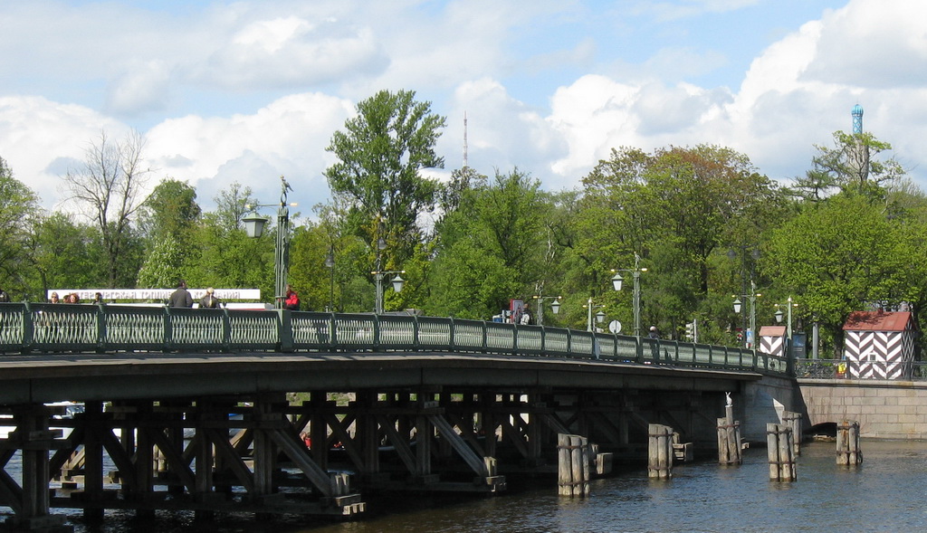 Иоанновский мост. Санкт-Петербург.