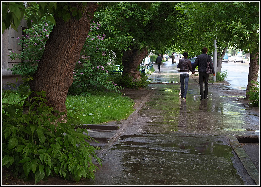 После дождя, доброго и светлого