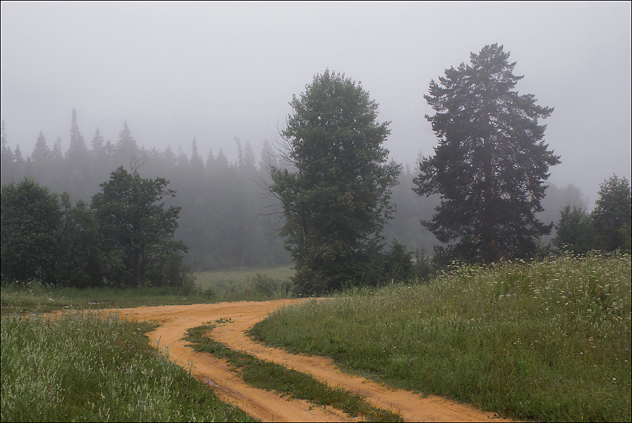 &quot;Yellow Road&quot;.