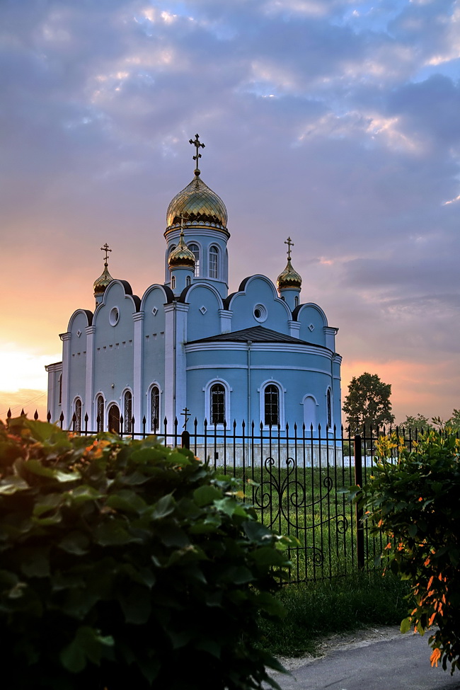 В Родниках, Московская Область.