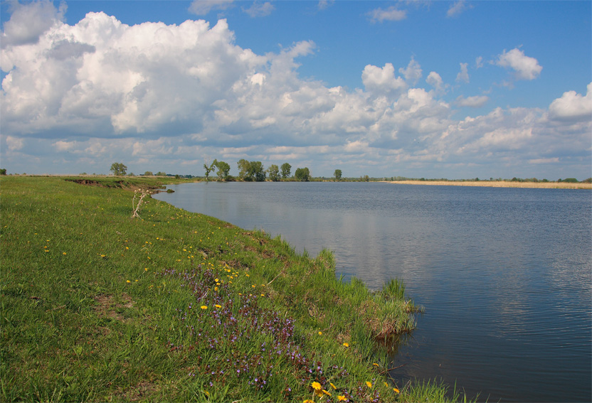 Небо, берег, вода