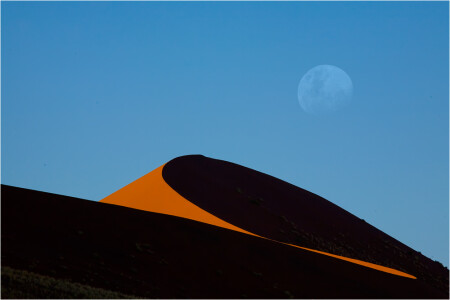 Moon