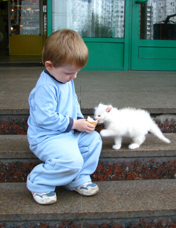 ПУШИСТЫЕ - ТОЖЕ МОЛОКО ) 