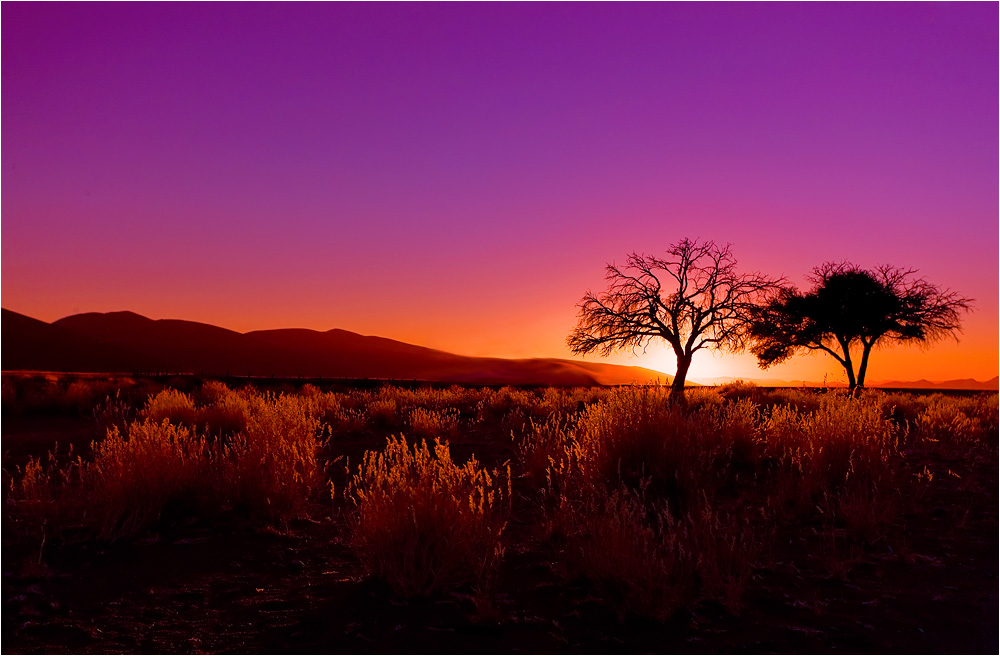 Namib