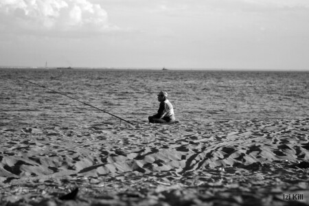 "Без воды и рыбы"
