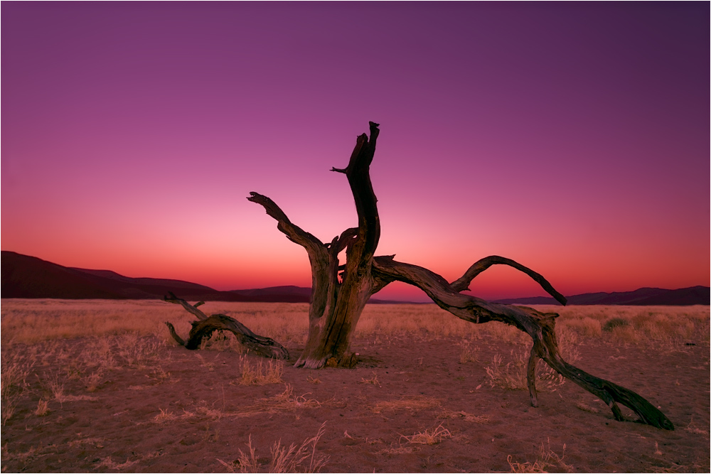 Namib