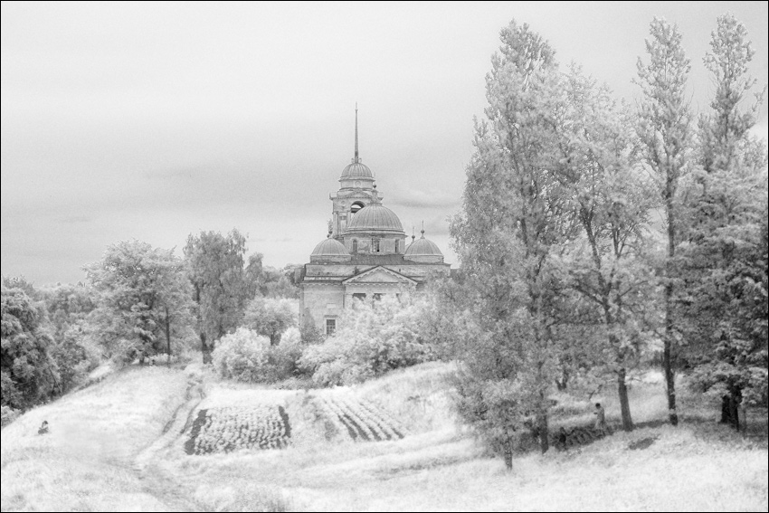 Летняя старицкая псевдо ИК картинка