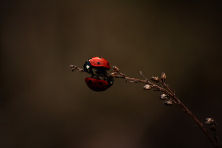 &amp;quot;69&amp;quot;