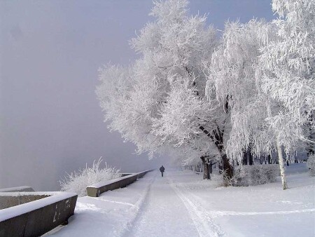 царство холода
