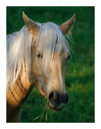 Блондинка:)