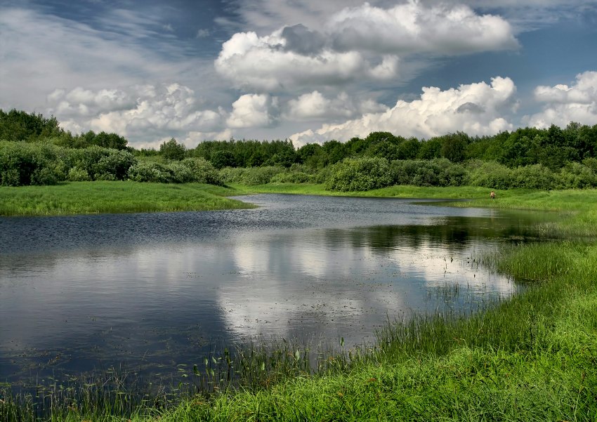 В июле на реке...