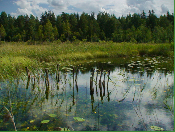 Вода