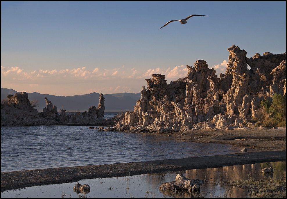 Mono Lake