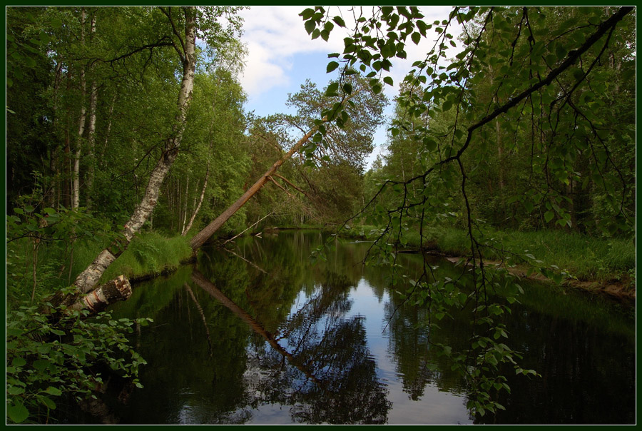 Взгляд вдоль реки