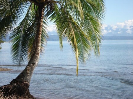 тихий, райский уголок...