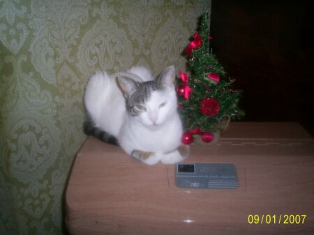 Снегурочка