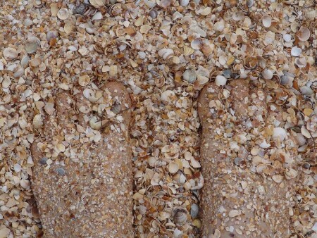 *ноги на отдыхе*