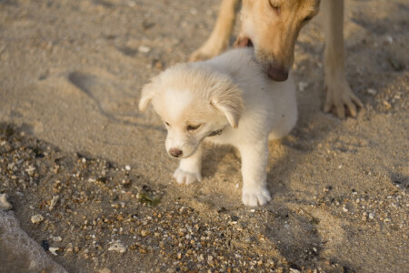 Хватит уже пялиться на это море