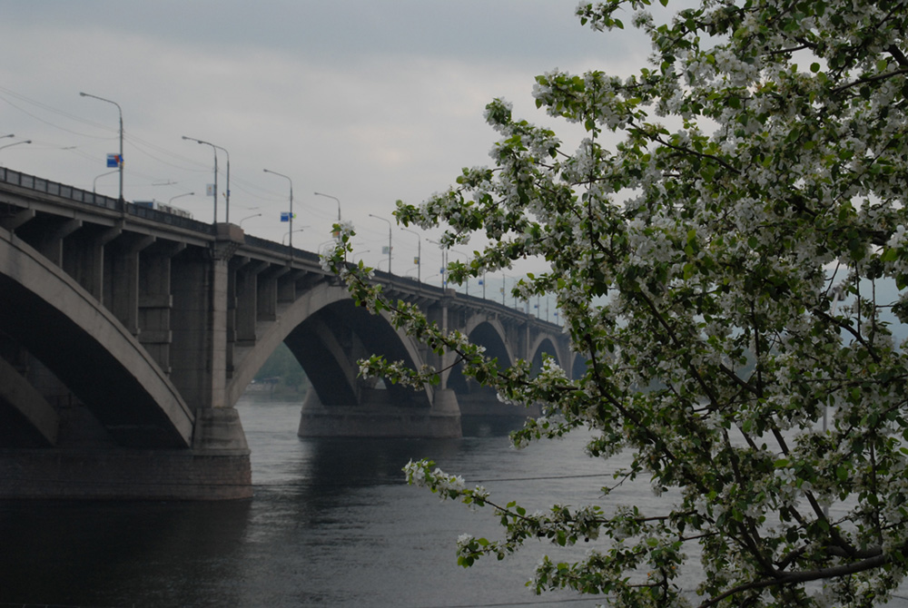  Мостик юнности моей весною в Красноярске