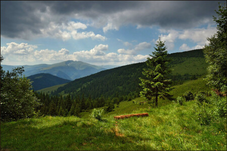 Карпаты 4